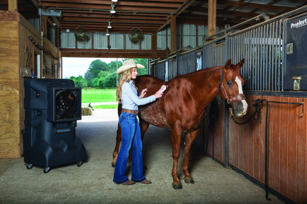 A cowboy-hatted woman in blue jeans grooms a brown horse in a stable with wooden walls, surrounded by lush greenery.