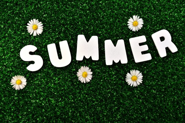 SUMMER" written in white on green grass, surrounded by five white daisies to celebrate summer's arrival.