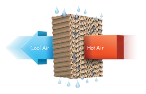 how evaporative media works illustration