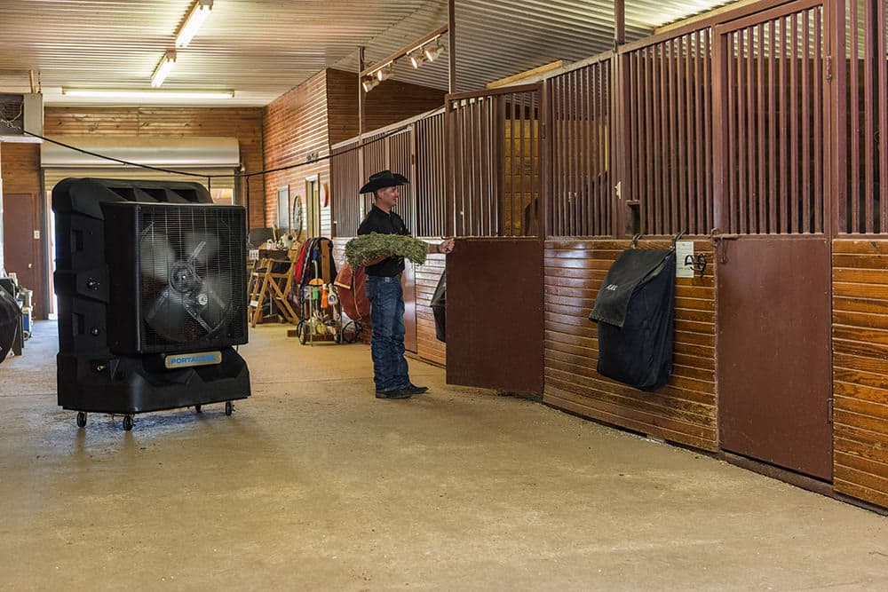 Man brings alfalfa hay to prize horses in a barn made nice and comfortable by a large Portacool evaporative air cooler.