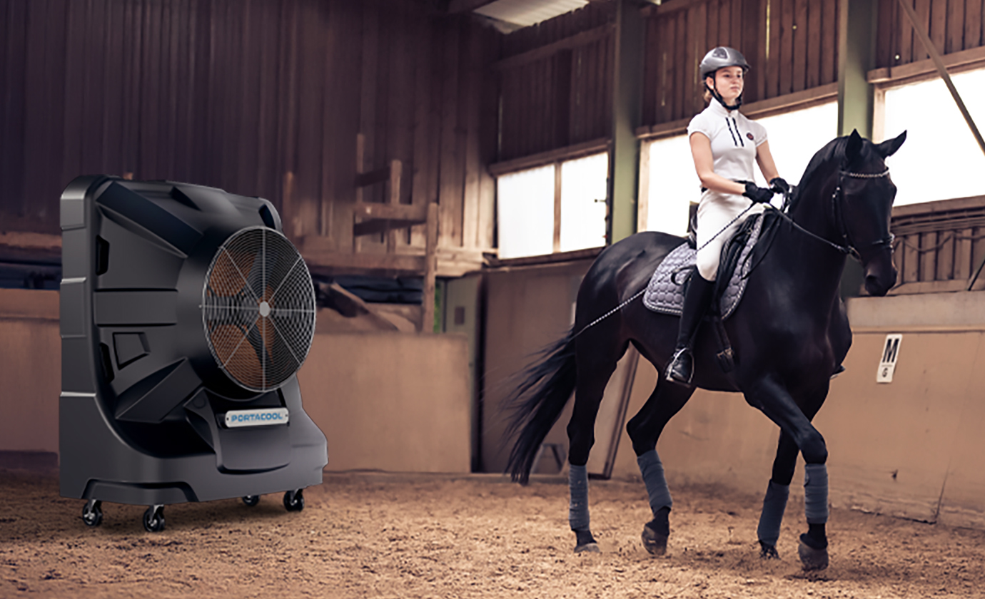 A person in equestrian attire rides a black horse inside an indoor wooden arena, ideal for training and bonding. Kept safe and comfortable with evap cooling.