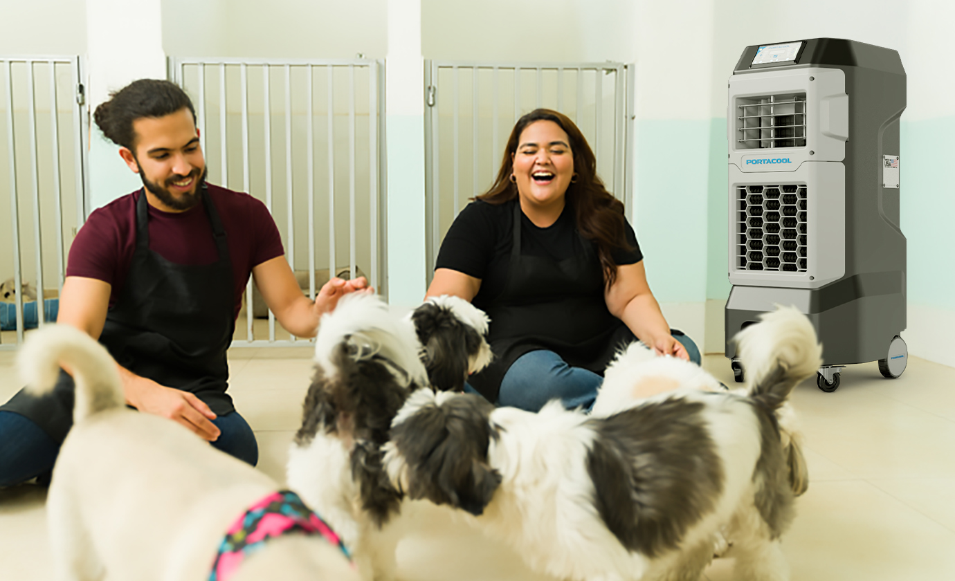 Two people in black aprons sit on the floor with playful small dogs, in a kennel. Smiling and engaging warmly because it's cool enough to enjoy.