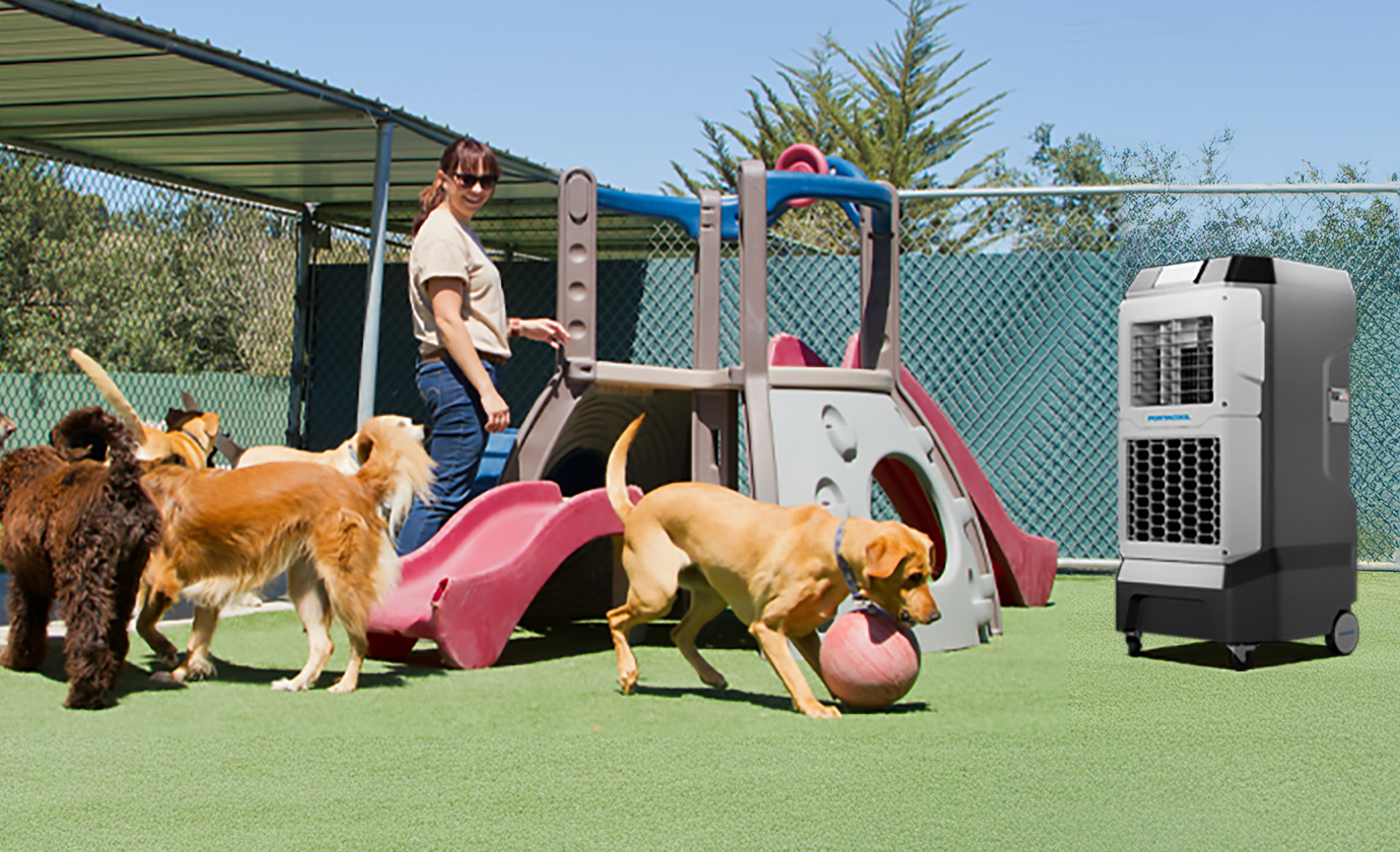 Dogs play with a woman near a play structure on grass. Chain-link fence and trees visible in the sunny outdoor background. The animal yard has been cooled by a Portacool.