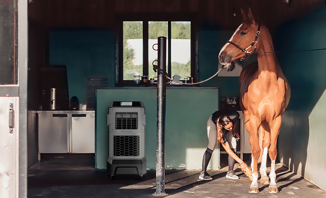 Person tends to a brown horse in a stable with teal walls, surrounded by cabinets and windows. Create cool comfort, even in a barn.